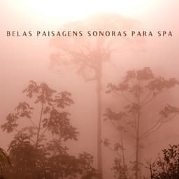Belas Paisagens Sonoras para Healing Retreat - Shane Nole