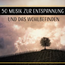 50 Musik zur Entspannung und das Wohlbefinden - Entspannungsmusik Welt