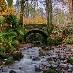 100 Little Dreams: Thought Streams - Calm Music