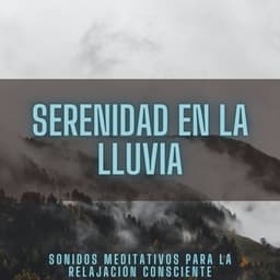 Serenidad En La Lluvia: Sonidos Meditativos Para La Relajación Consciente - Naturaleza y Lluvia