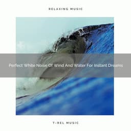 Perfect White Noise Of Wind And Water For Instant Dreams - Noise Gravity