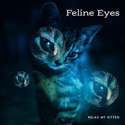 Feline Eyes - Relax My Kitten