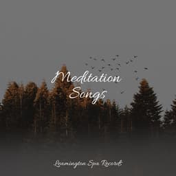 Meditation Songs - Relaxing Music