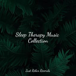 Sleep Therapy Music Collection - Healing Yoga Meditation Music Consort