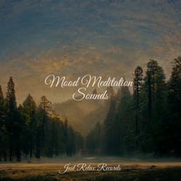 Mood Meditation Sounds - Musica Romantica