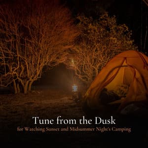 Tune from the Dusk for Watching Sunset and Midsummer Night's Camping - Sleeping Baby