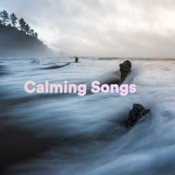 Calming Songs - Relaxation Songs
