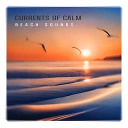Currents of Calm - Beach Sounds