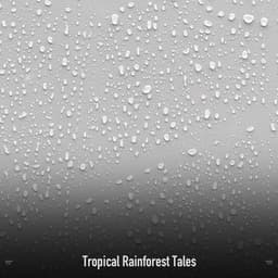 !!!!" Tropical Rainforest Tales "!!!! - Sonidos De Truenos y Lluvia