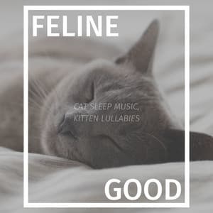 Feline Good: Cat Sleep Music, Kitten Lullabies - Frank Piano