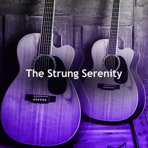 The Strung Serenity - Spanish Guitar Instrumentals