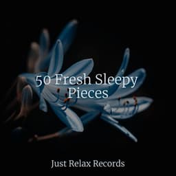 50 Fresh Sleepy Pieces - Calming Sounds