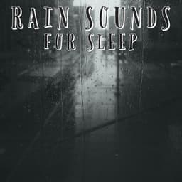 Rain Sounds For Sleep - Natural Sample Makers
