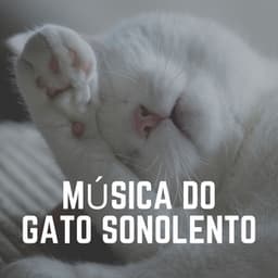 Música do Gato Sonolento - Musica para Gatos
