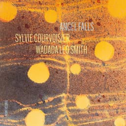 Angel Falls - Sylvie Courvoisier
