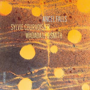 Angel Falls - Sylvie Courvoisier