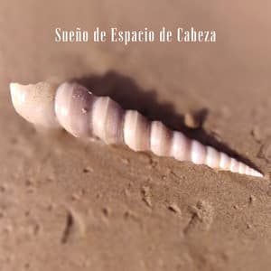 Sueño de Espacio de Cabeza - Dormir Maestro