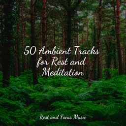 50 Ambient Tracks for Rest and Meditation - Study Music