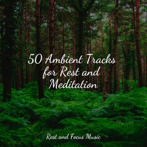 50 Ambient Tracks for Rest and Meditation - Study Music