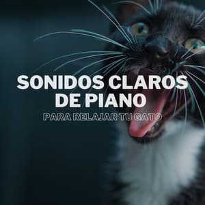 Sonidos Claros De Piano Para Relajar Tu Gato - Relajación Piano en Mente