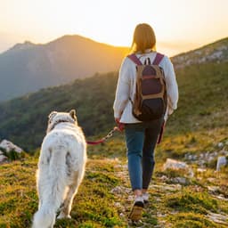 Melodías Relajantes Para Mascotas: Música Para Compañeros - Clima salvaje