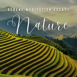 Meditation Oasis: Tranquil Soundscapes for Inner Peace - Meditation Music Solitude