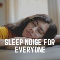 Sleep Noise for Everyone - Sleep Easy Solutions