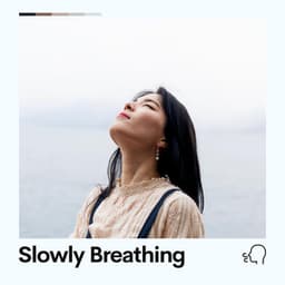 Slowly Breathing - Deep Sleep Systems