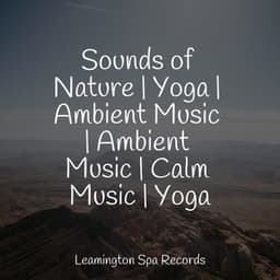 Sounds of Nature | Yoga | Ambient Music | Ambient Music | Calm Music | Yoga - Nature Sounds Collection