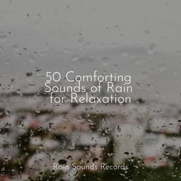 50 Comforting Sounds of Rain for Relaxation - Ambient