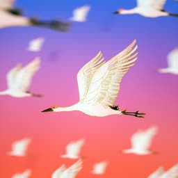 Powerful Relaxation Music - Solfeggio Sanctuary