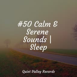 #50 Calm & Serene Sounds | Sleep - Naturaleza Sonidos