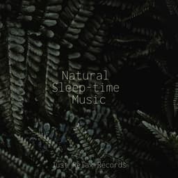 Natural Sleep-time Music - Dog Music
