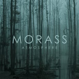 Morass Atmosphere - Silent Night Music Academy