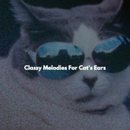 Classy Melodies For Cat's Ears - Musica da Lavoro