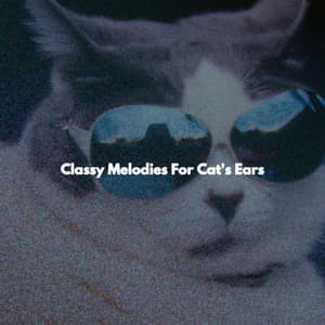 Classy Melodies For Cat's Ears - Musica da Lavoro