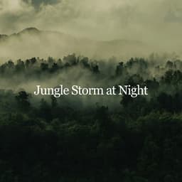 Jungle Storm at Night - Mother Nature Sound FX