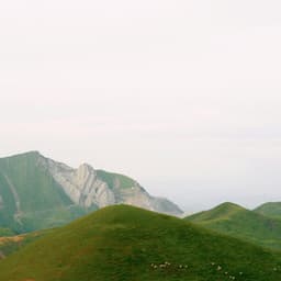 365 Wellness: Apex Living - Yoga Music