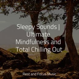 Sleepy Sounds | Ultimate Mindfulness and Total Chilling Out - Yoga Music