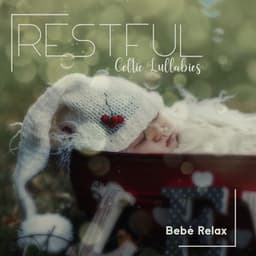 Restful Celtic Lullabies - Katiaro