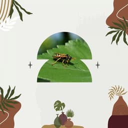 Coffee Time - Dinner Table Jazz Lounge