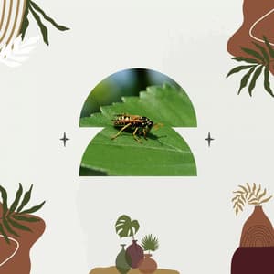 Coffee Time - Dinner Table Jazz Lounge