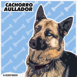 Cachorro Aullador - Mascotas tranquilas
