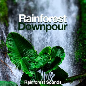Rainforest Downpour - Rainforest Sounds