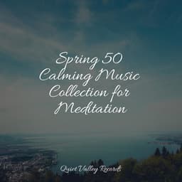 Spring 50 Calming Music Collection for Meditation - Lullabies for Deep Meditation