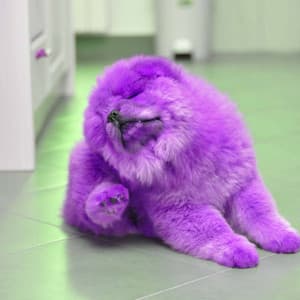 Music for Dreamy Doggo - Relaxation Music For Dogs