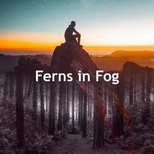 Ferns in Fog - Natures DNA