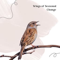 Wings of Seasonal Change - Orionavi
