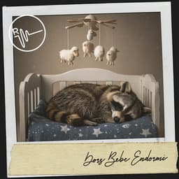 Dors Bébé Endormi : Mélodies Nocturnes pour Bébé - Solfeggio Frequencies 528Hz