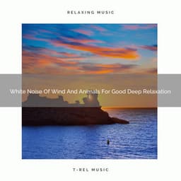 White Noise Of Wind And Animals For Good Deep Relaxation - Noise Makers